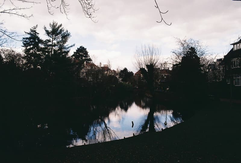 https://blob.douwez.dev/hugo/Pentax ME/Kodak Gold/2025-03-29/000016.JPG