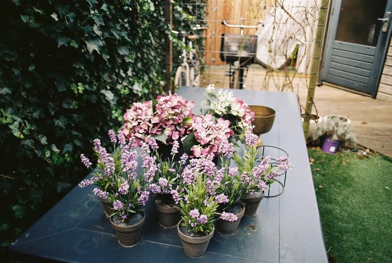 https://blob.douwez.dev/hugo/Pentax ME/Kodak Gold/2025-03-15/09.JPG
