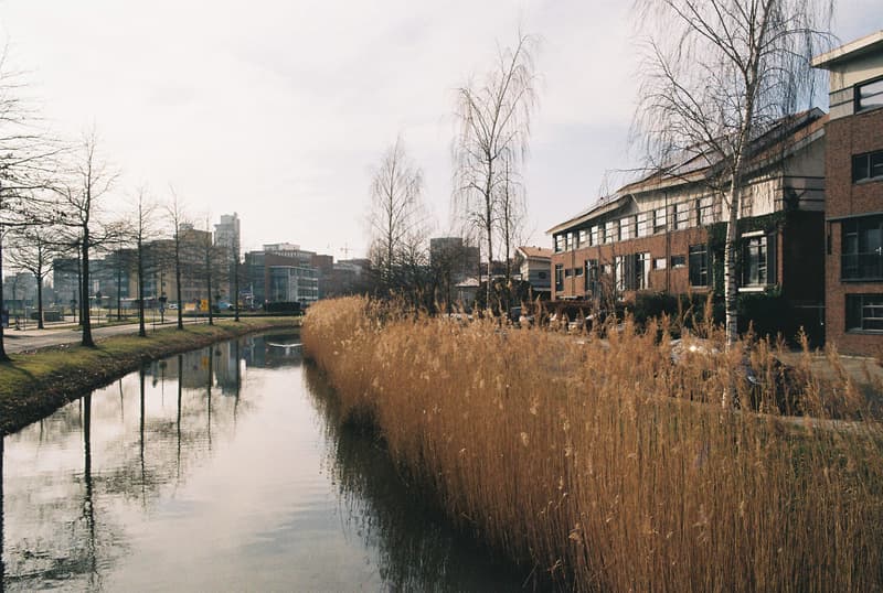 https://blob.douwez.dev/hugo/Pentax ME/Kodak Gold/2025-03-15/35.JPG